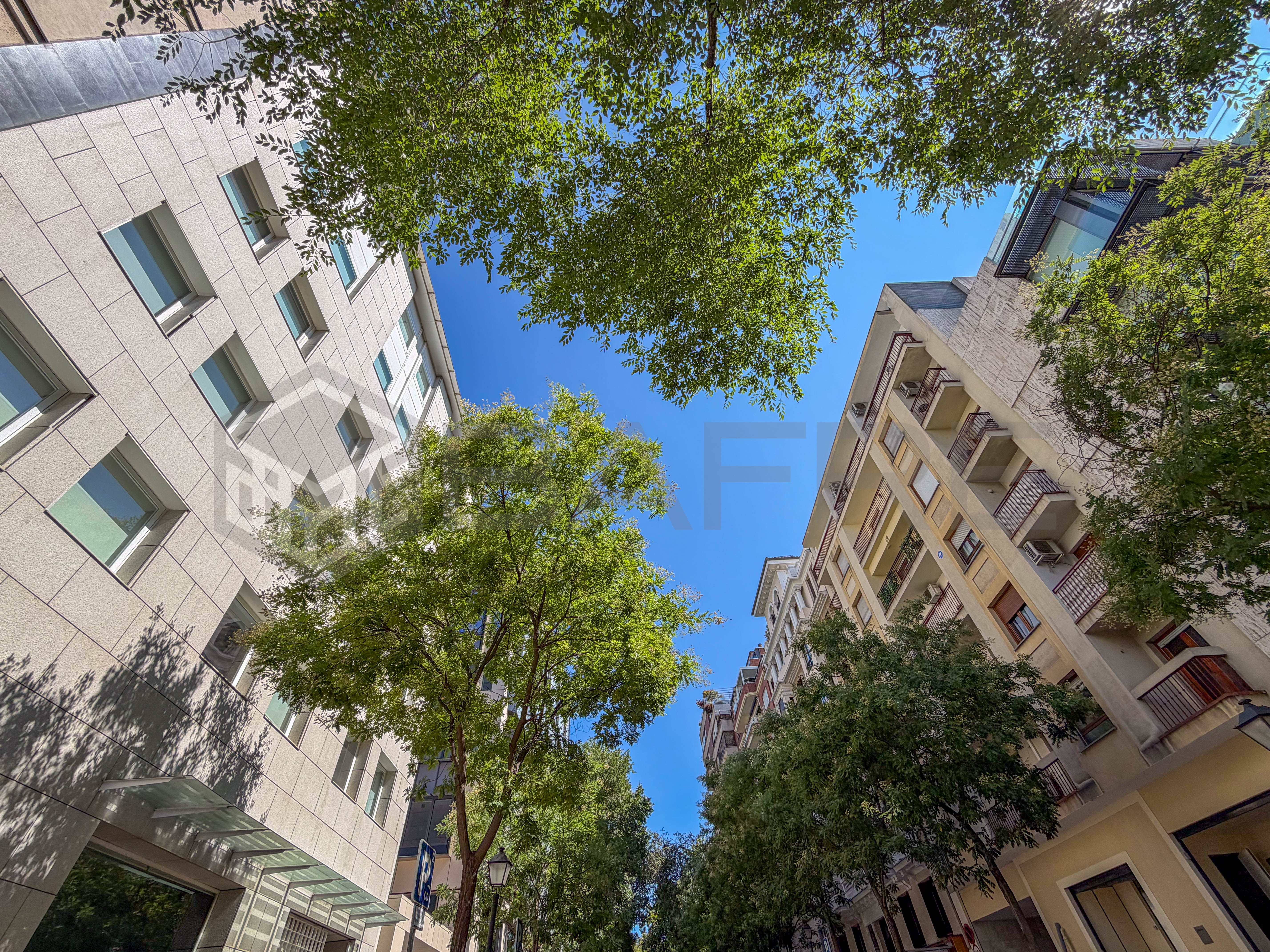 Piso en Calle Pinar 21